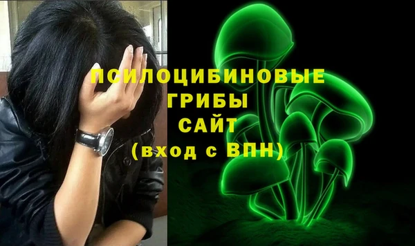 метадон Горнозаводск
