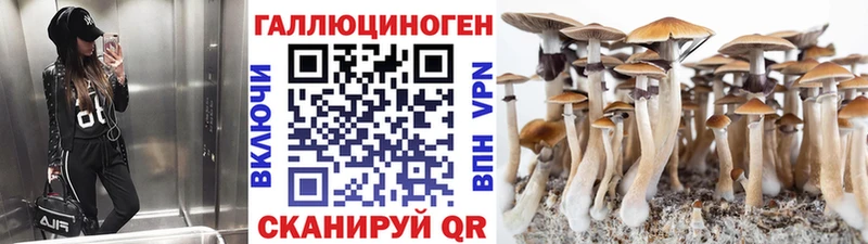 Купить закладки  Кубинка  Галлюциногенные грибы Psilocybe 